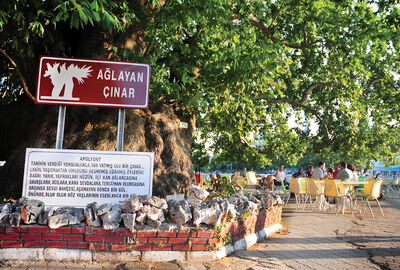 GÜNÜBİRLİK BURSA - MUDANYA TURU (12 Nisan - 21 Haziran)