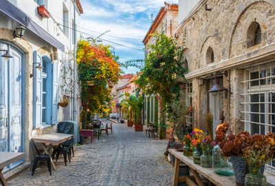 GÜNÜBİRLİK ALAÇATI TURU