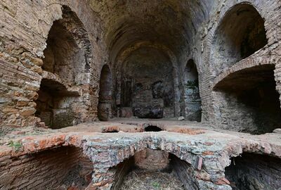 GÜNÜBİRLİK  ŞİRİNCE –EFES - MERYEMANA TURU (20 Nisan - 28 Haziran)