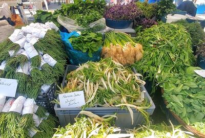 Günübirlik Alaçatı Ot Festivali