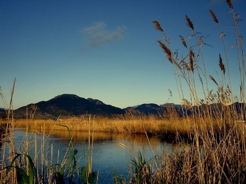 1 Gece Konaklamalı MAŞUKİYE – ORMANYA – SAPANCA – GÖLCÜK – ABANT – YEDİGÖLLER TURU