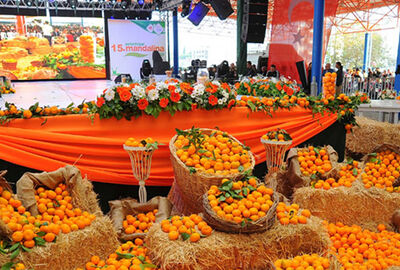 Günü Birlik 25.SEFERİHİSAR MANDALİNA ŞENLİĞİ TURU 